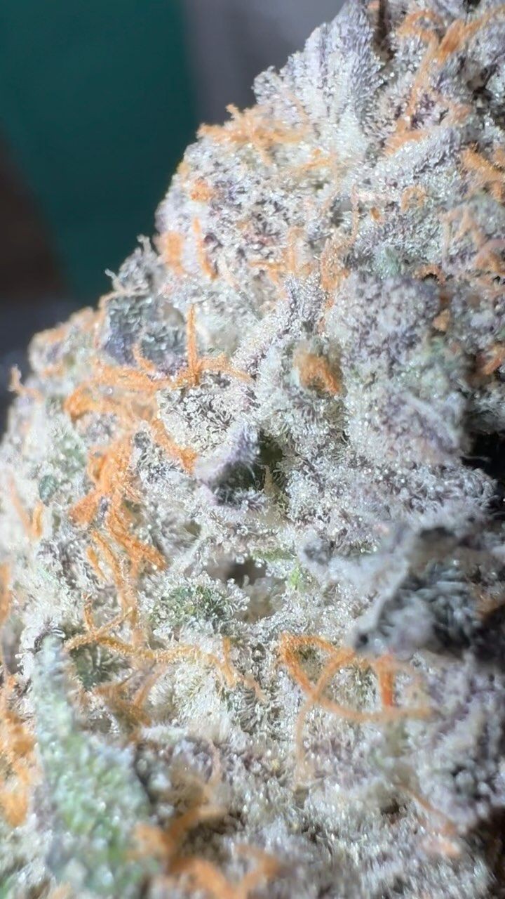 Candy Flip by "Terp Money"